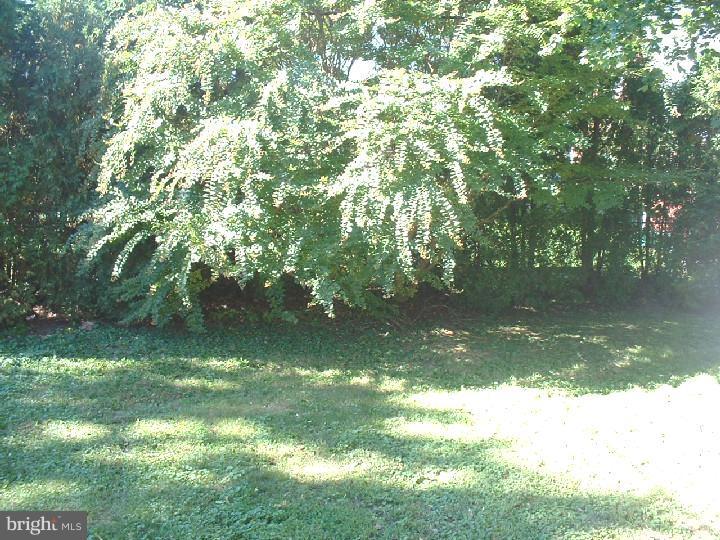 719 Colwell Road Swarthmore, PA 19081 - Photo 21 of 23 Back Yard