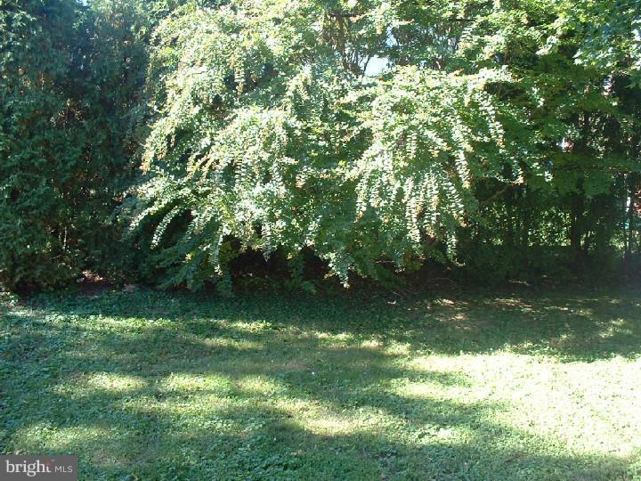 719 Colwell Road Swarthmore, PA 19081 - Photo 22 of 23