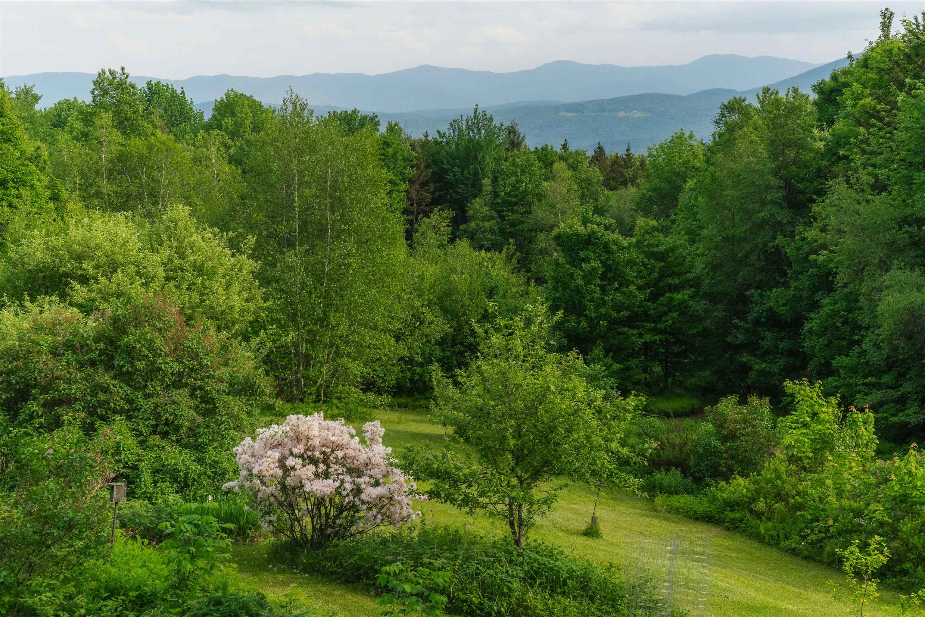 68 Riding Stable Road Johnson, VT 05656 - Photo 37 of 45