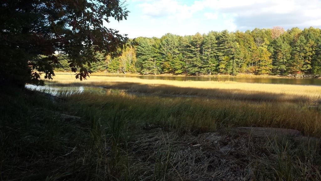 0 Ready Point Road Wiscasset, ME 04578 - Photo 10 of 11 Photo