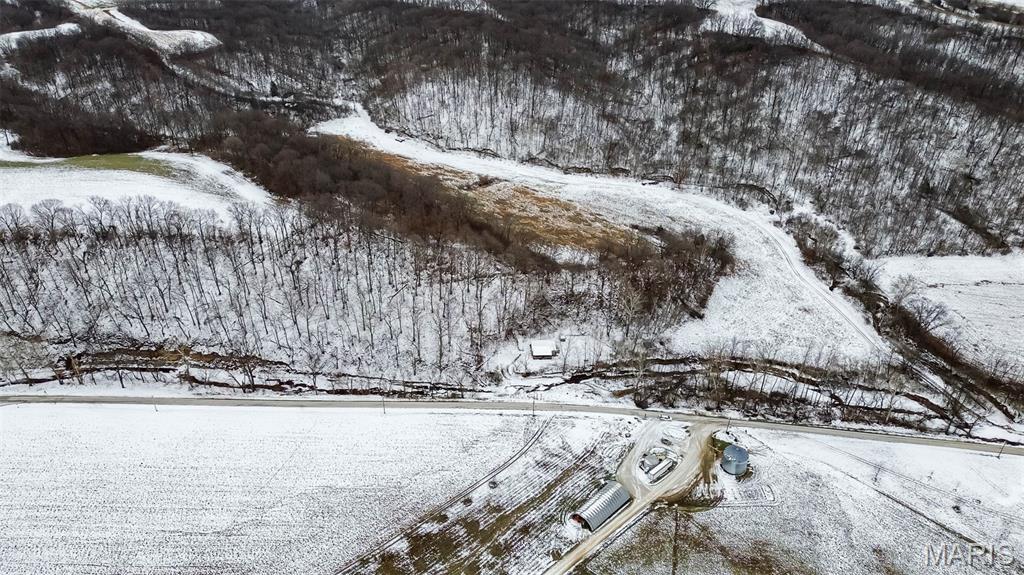 1763 Johnson Hollow Road Nebo, IL 62355 - Photo 27 of 36