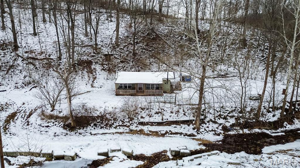 1763 Johnson Hollow Road Nebo, IL 62355 - Photo 32 of 36