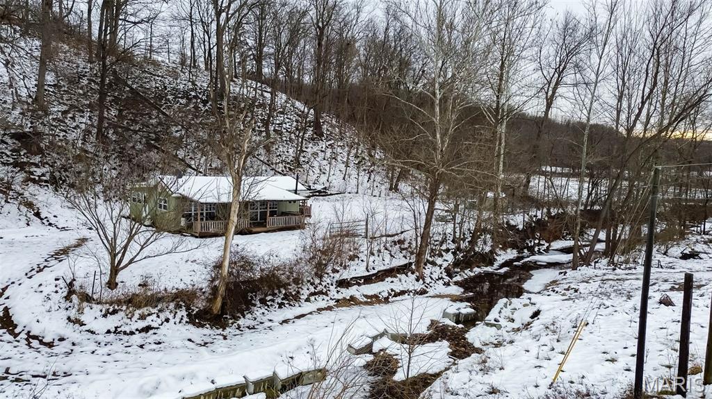 1763 Johnson Hollow Road Nebo, IL 62355 - Photo 35 of 36