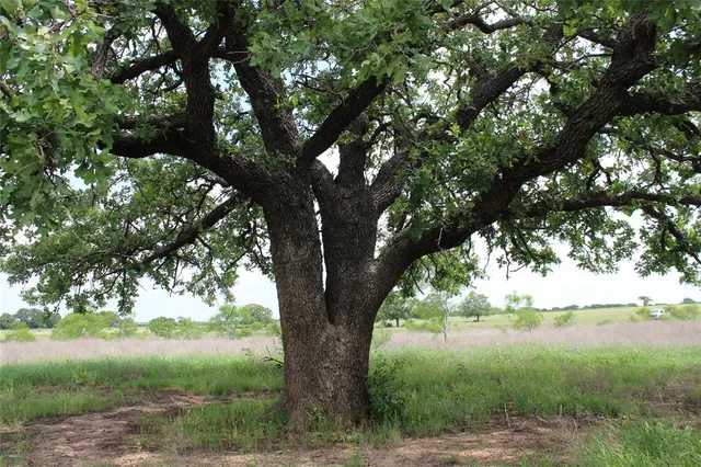 $175,945 | 3 County Road 109, Mingus, TX 76463