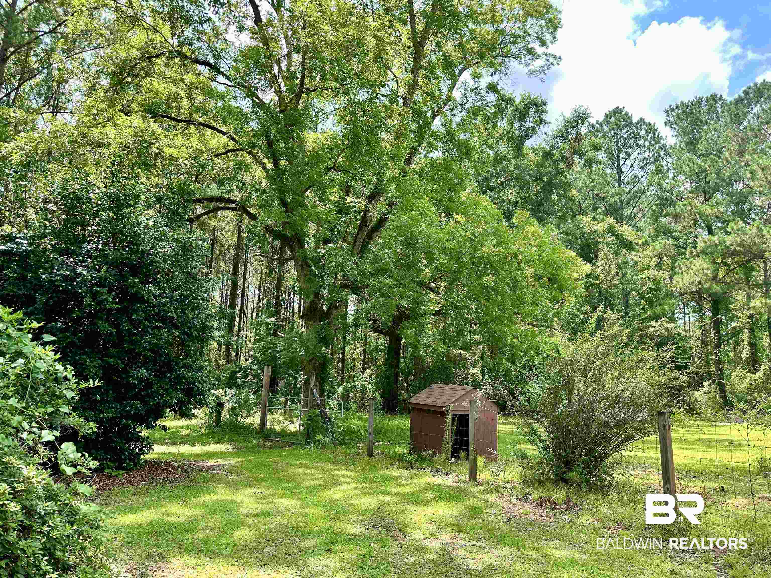 11281 Highway 29 Brewton, AL 36426 - Photo 2 of 12