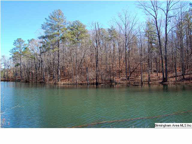 5 Highway Ac Al, Unit 96 23 Woodstock, AL 35188 - Photo 3 of 20