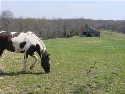 735 Mountain Island Road Corinth, KY 41010 - Photo 1 of 14 Photo 1