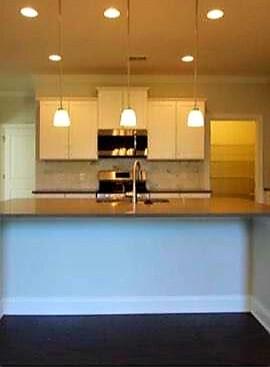 1614 Mermentau Street Mount Pleasant, SC 29466 - Photo 3 of 21 21071 (1)