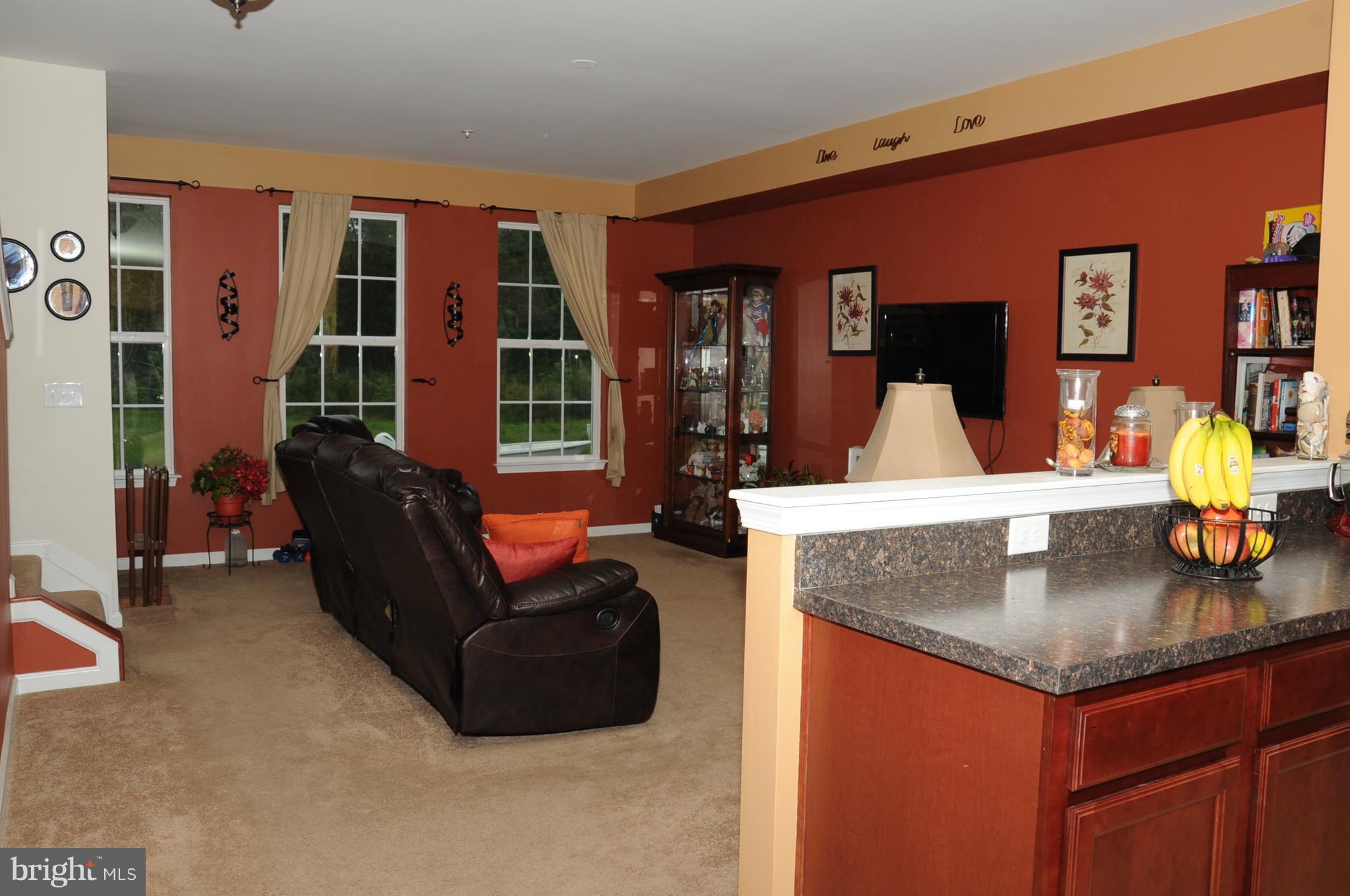 33 Magnolia Drive Elkton, MD 21921 - Photo 8 of 28 Huge 10 foot ceilings