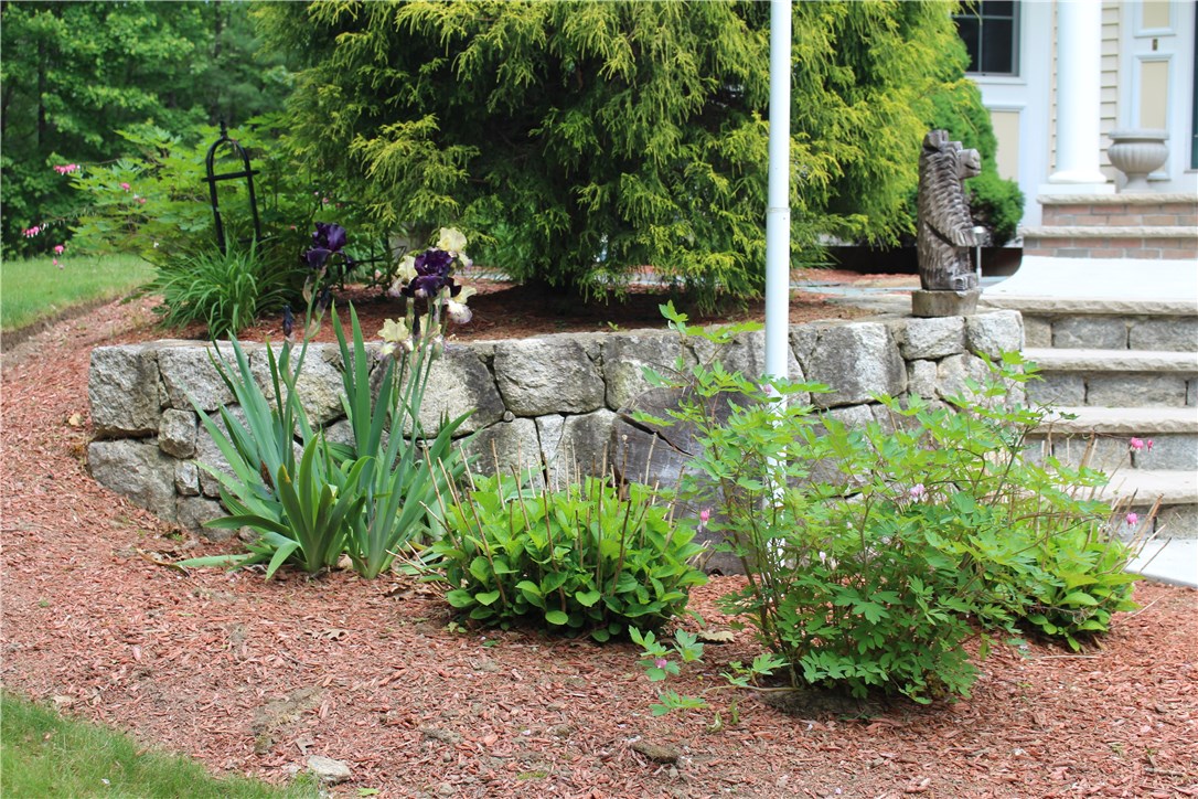 161 Chocolog Road Uxbridge, MA 01569 - Photo 2 of 37 Front walk landscaping