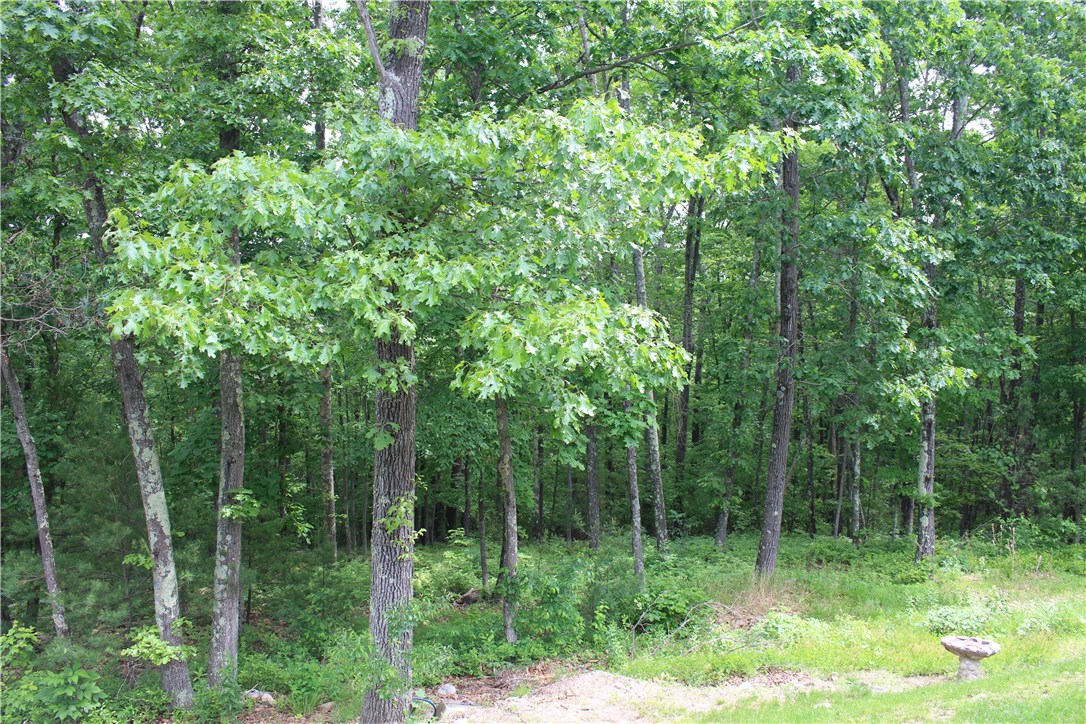 161 Chocolog Road Uxbridge, MA 01569 - Photo 34 of 37 The uncleared portion of the lot provides a lot of privacy.