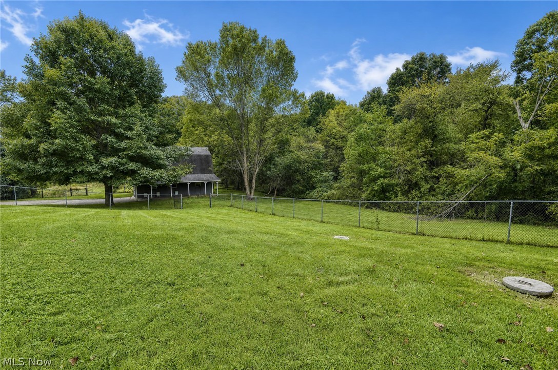 11226 Sperry Road Chesterland, OH 44026 - Photo 33 of 38 Backyard
