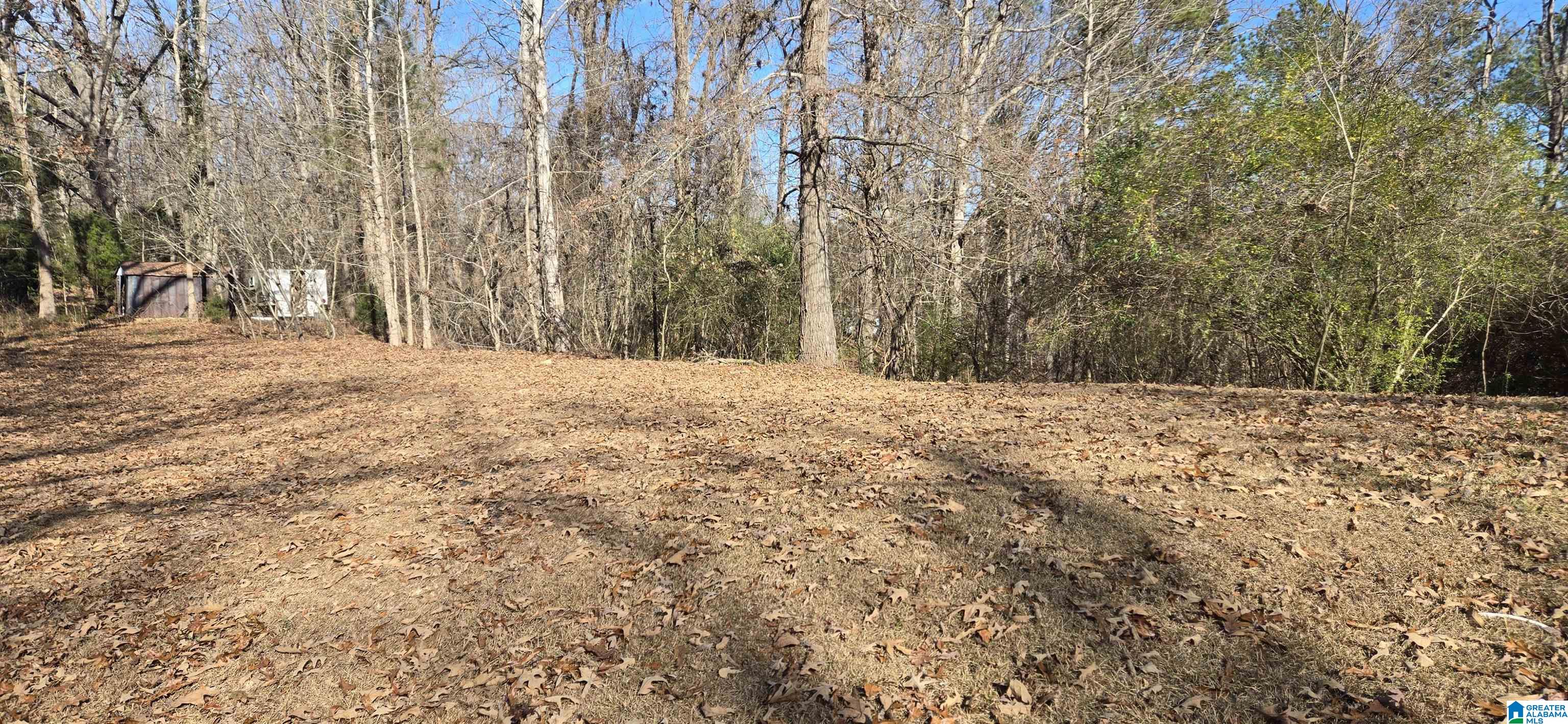 8897 Bradford Trafford Road Pinson, AL 35126 - Photo 4 of 21