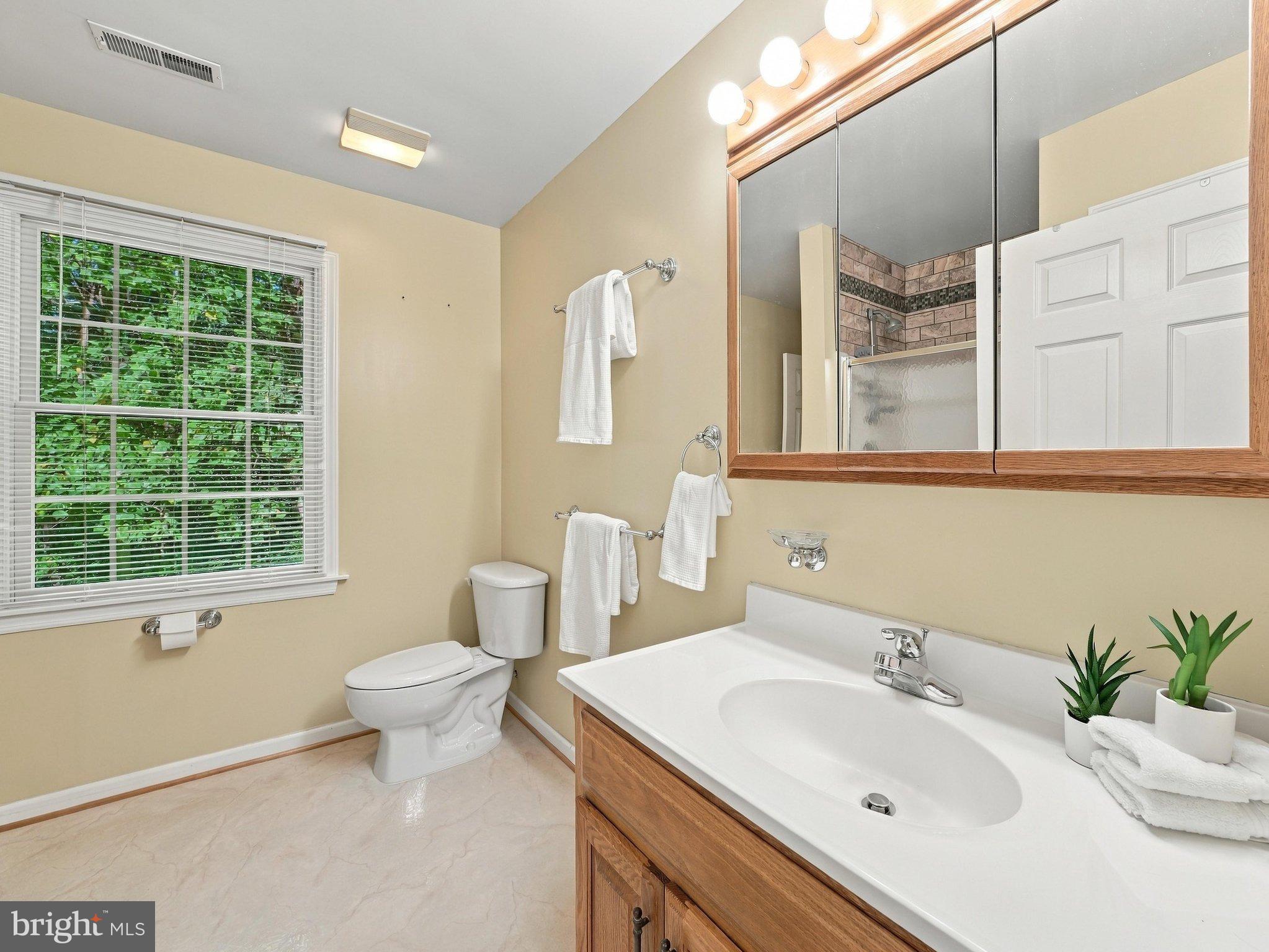 5826 Moser Road Boonsboro, MD 21713 - Photo 30 of 38 Full Jack n Jill Bathroom