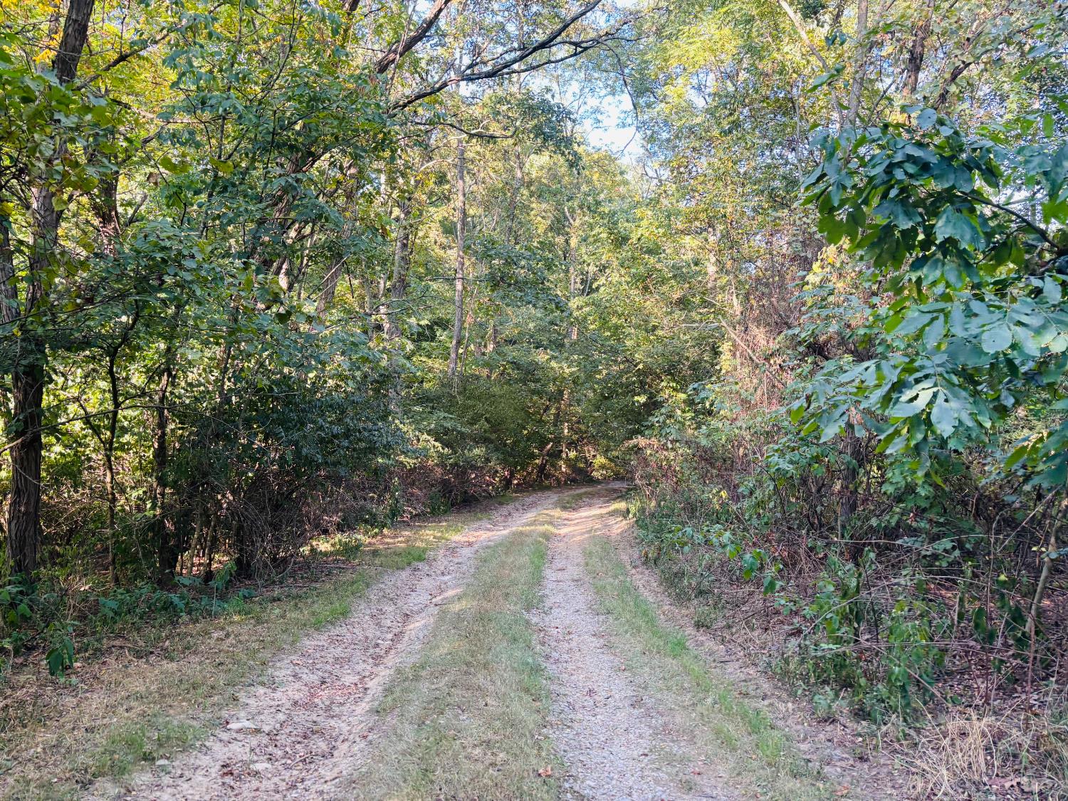 0 Whitcomb Road Brookville, IN 47012 - Photo 7 of 35