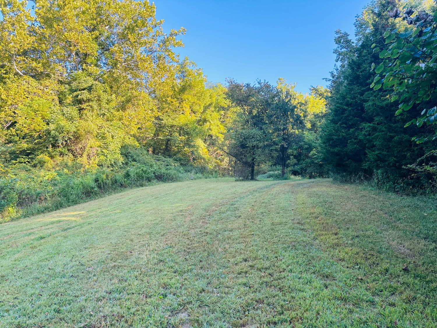 0 Whitcomb Road Brookville, IN 47012 - Photo 8 of 35