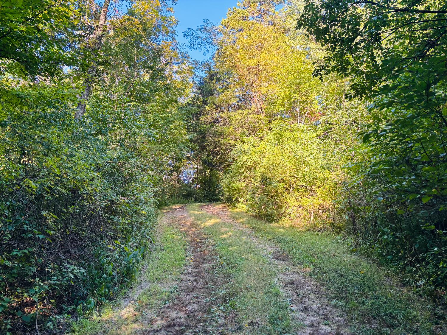 0 Whitcomb Road Brookville, IN 47012 - Photo 9 of 35