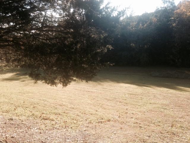 723 Archer Road Luttrell, TN 37779 - Photo 2 of 15 FullSizeRender