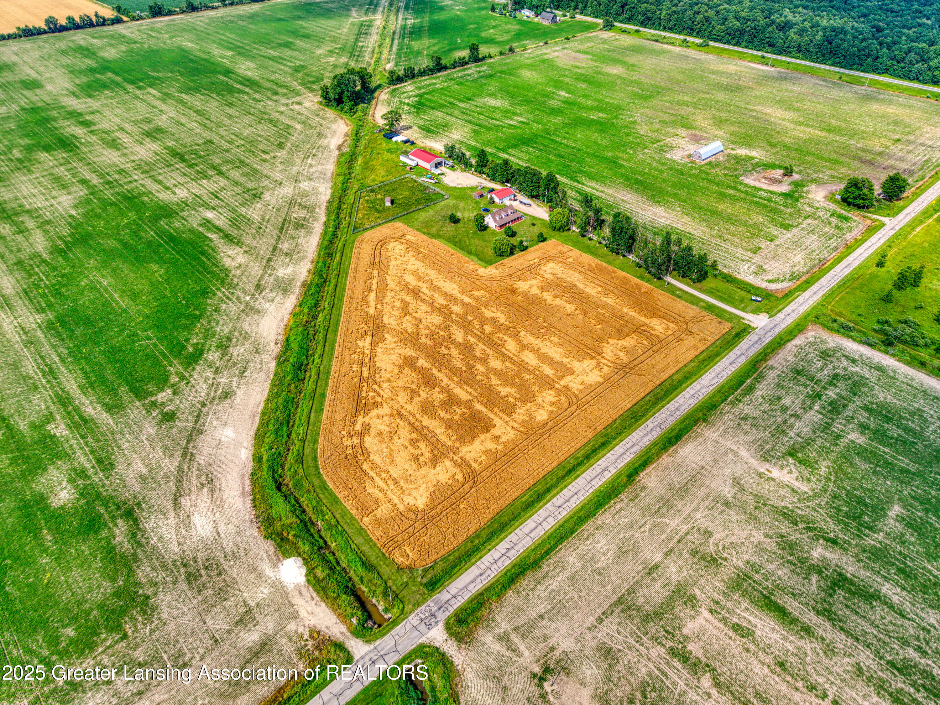 7741 East Garfield Road Ashley, MI 48806 - Photo 42 of 59 DJI_20250710165831_0596_D_3