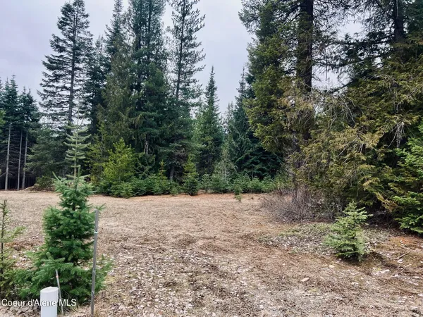 $169,950 | 471 Long Drive, Priest Lake, ID 83856