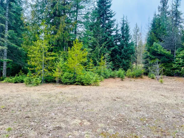 $169,950 | 471 Long Drive, Priest Lake, ID 83856