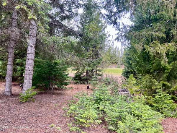 $169,950 | 471 Long Drive, Priest Lake, ID 83856