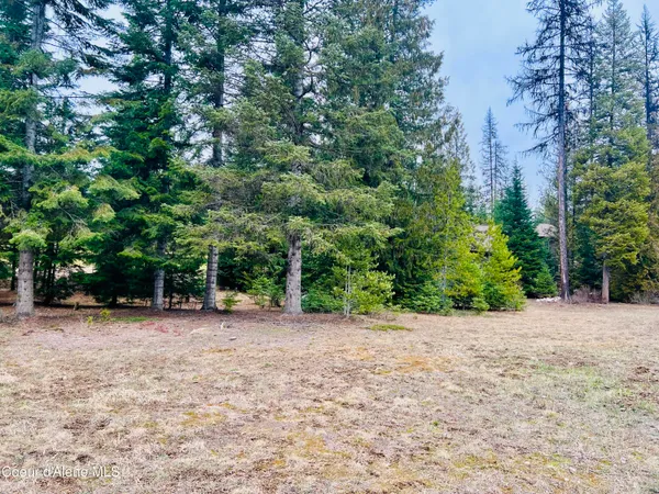 $169,950 | 471 Long Drive, Priest Lake, ID 83856