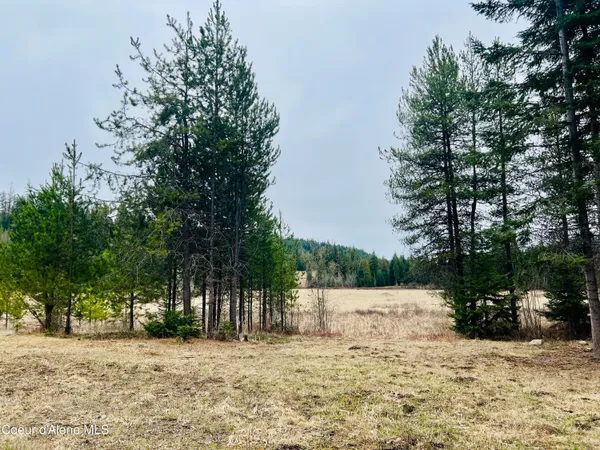 $169,950 | 471 Long Drive, Priest Lake, ID 83856