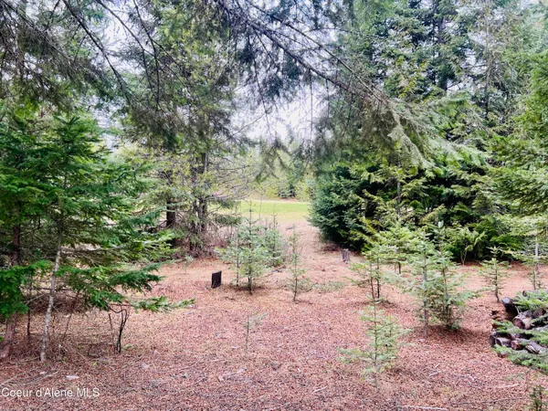 $169,950 | 471 Long Drive, Priest Lake, ID 83856