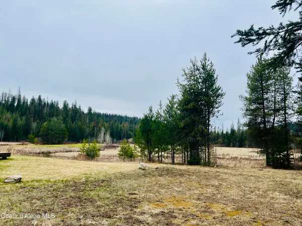 $169,950 | 471 Long Drive, Priest Lake, ID 83856