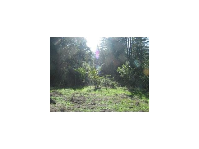 0 Pool Road Felton, CA 95018 - Photo 3 of 6 Gallery Image 3