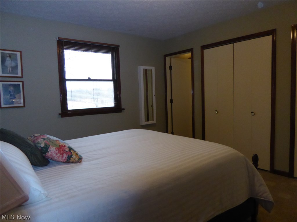 8564 Friendsville Road Lodi, OH 44254 - Photo 11 of 25 Master bedroom with view to bathroom door.