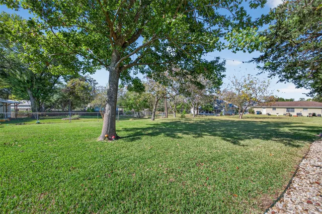 a view of a garden with a tree