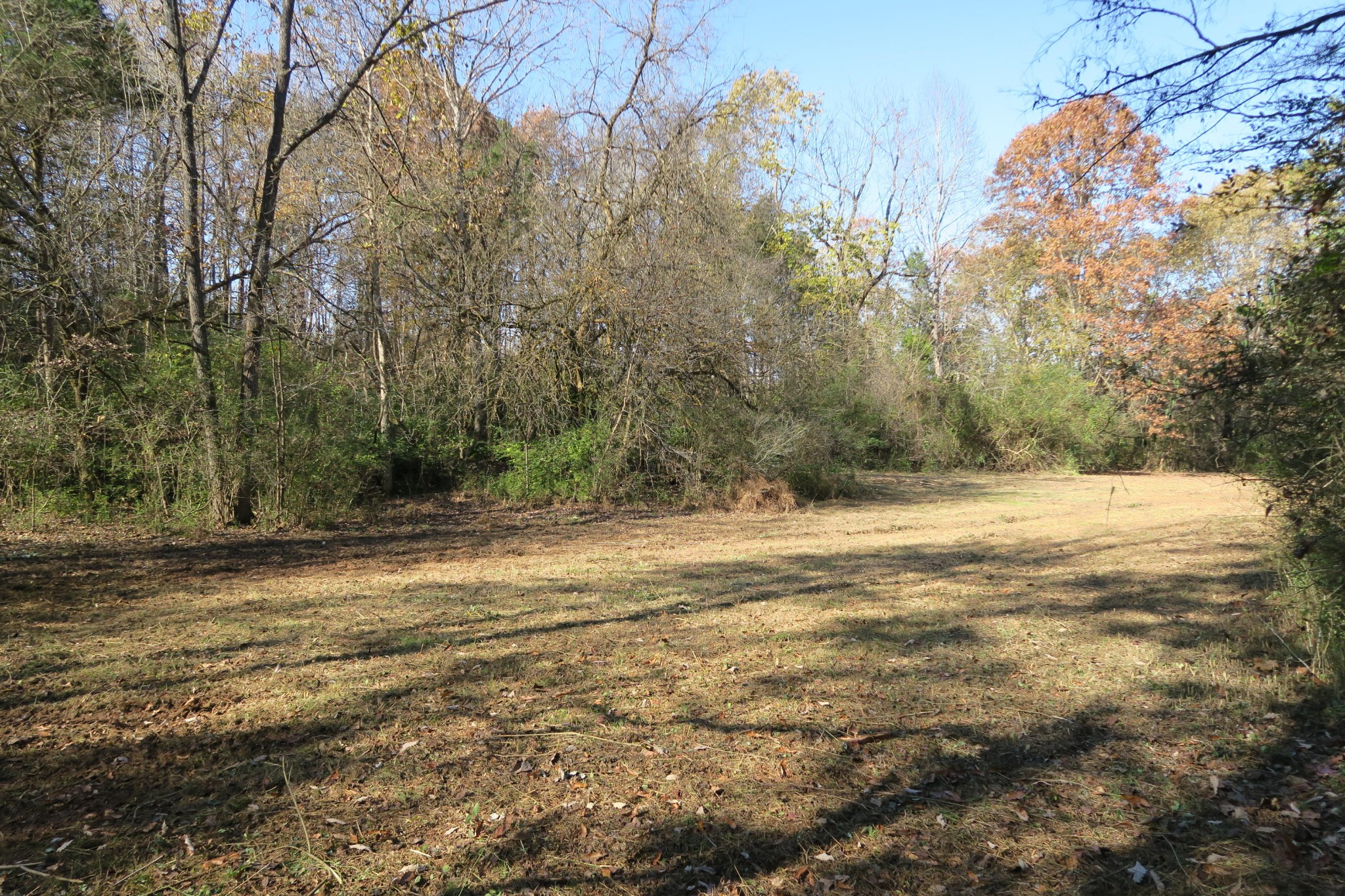 4461 Floyd Lee Road Friendsville, TN 37737 - Photo 22 of 35 Gallery Image 22