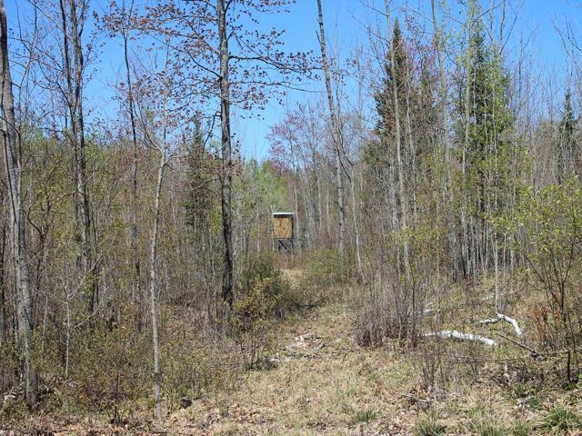 19081 Erickson Drive Dunbar, WI 54119 - Photo 67 of 87