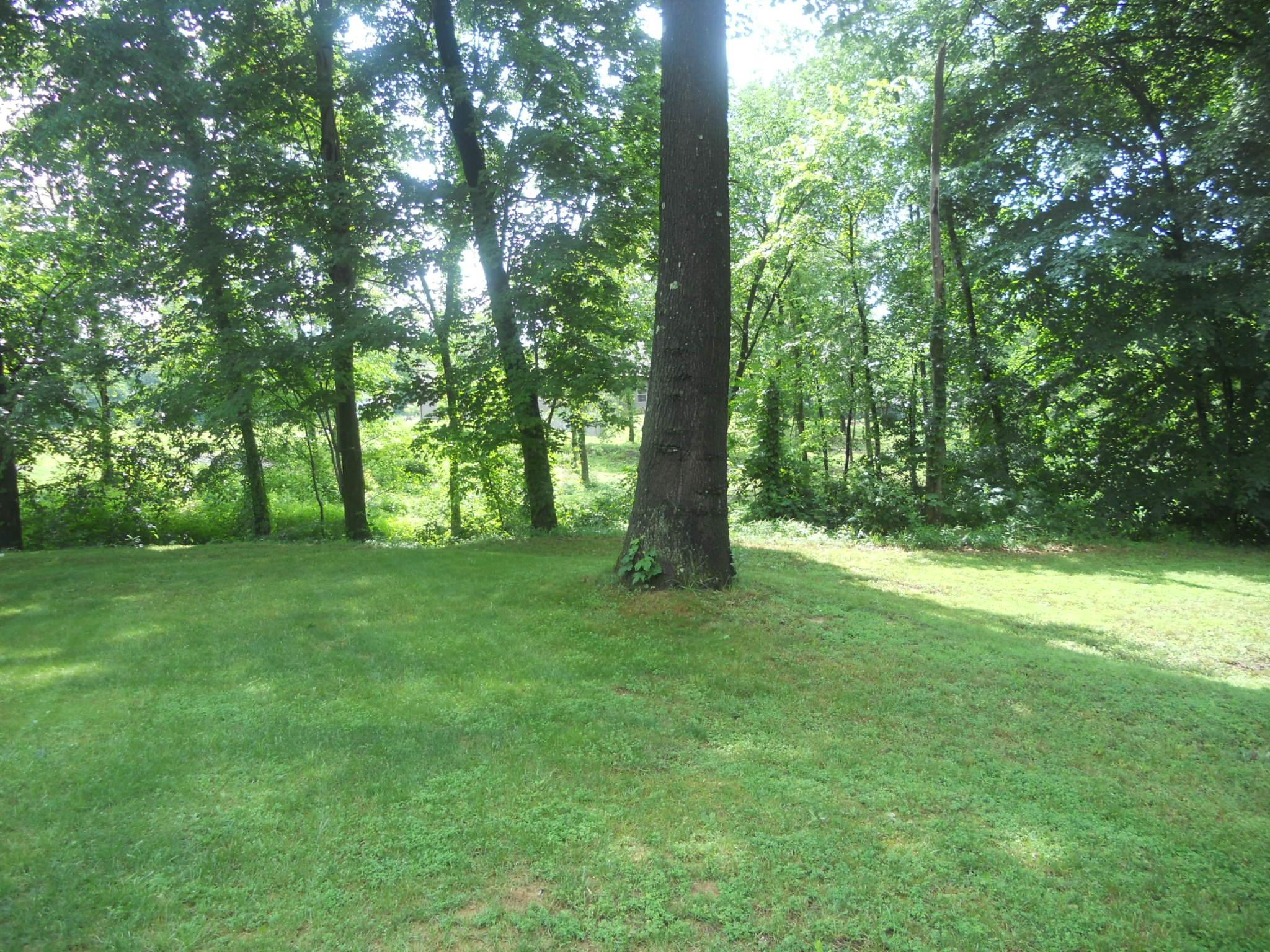 380 Hicks Road Zanesville, OH 43701 - Photo 4 of 11