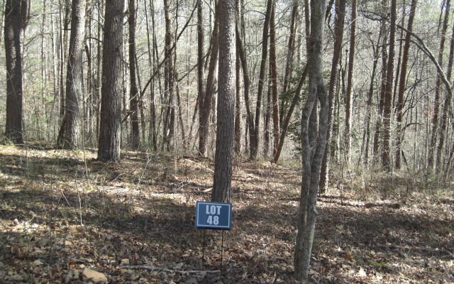 Hunters Ridge Road Mineral Bluff, GA 30559 - Photo 1 of 1 Main View