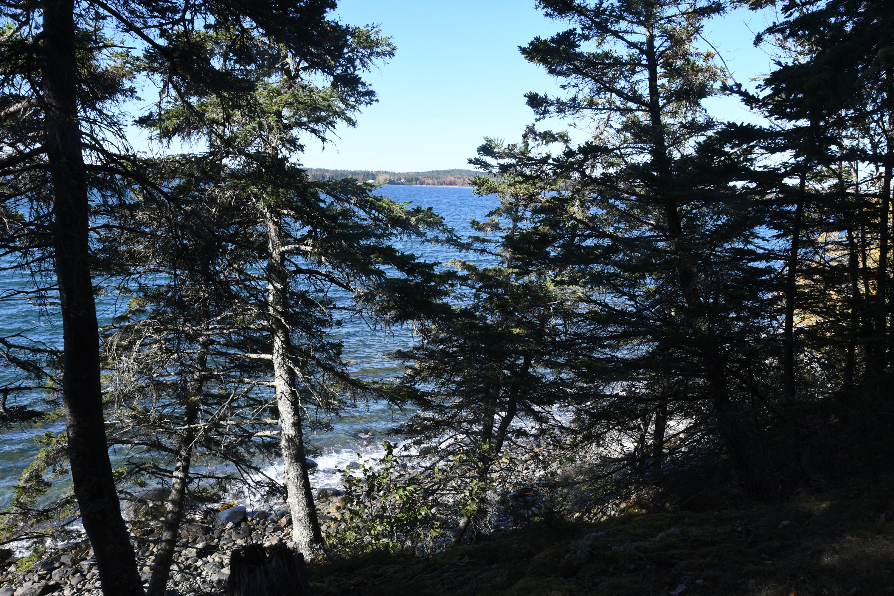01 North Deer Isle Road Deer Isle, ME 04627 - Photo 24 of 34 20171021_AnneKeck_025