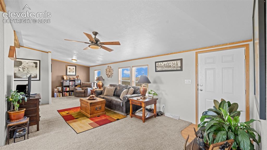 33975 Highway 94 Yoder, CO 80864 - Photo 5 of 40 Spacious living area featuring neutral carpeting, light-toned walls, and wood trim