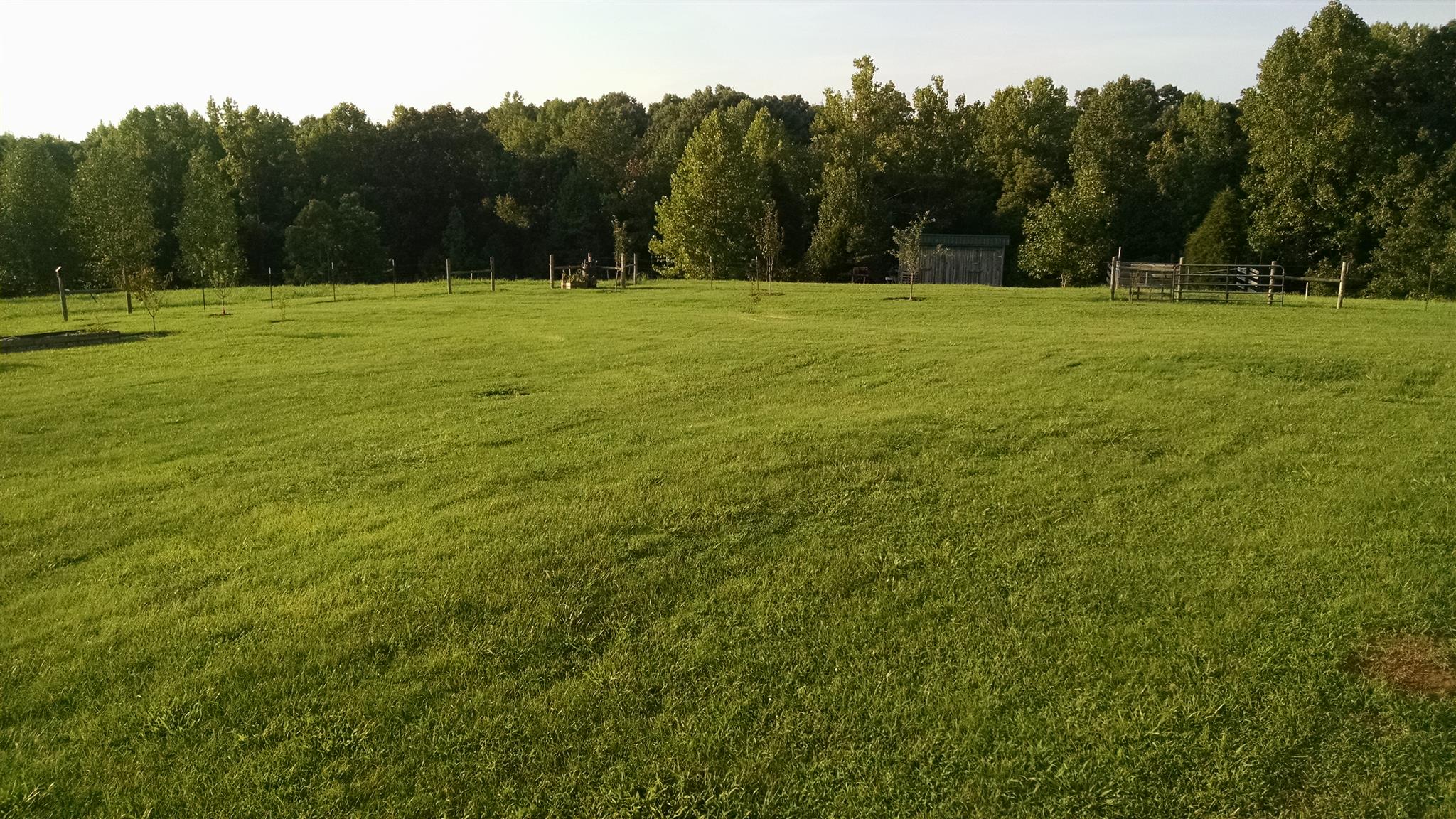 3262 Mobley Ridge Road Duck River, TN 38454 - Photo 23 of 30 Gallery Image 23