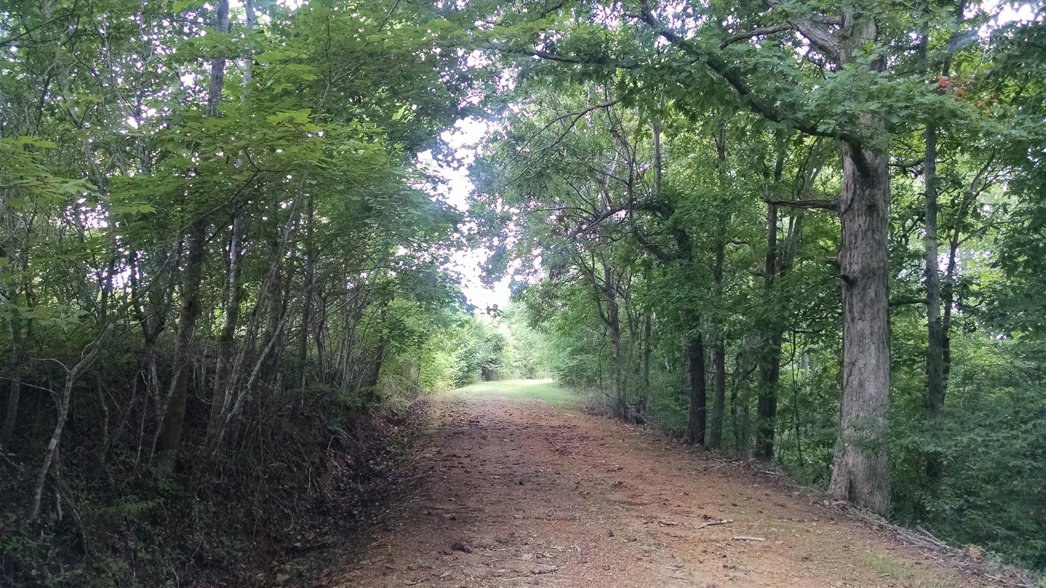 3262 Mobley Ridge Road Duck River, TN 38454 - Photo 28 of 30 Gallery Image 28