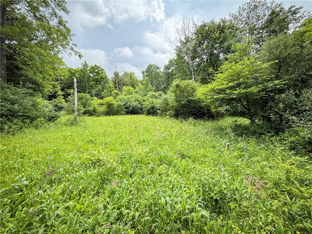 5401 Old Bath Road Barrington, NY 14837 - Photo 31 of 50