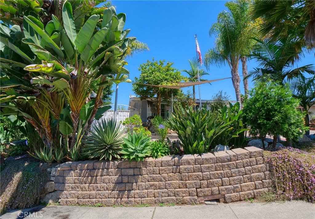 820 Raintree Place Vista, CA 92084 - Photo 29 of 29 a plant in a yard