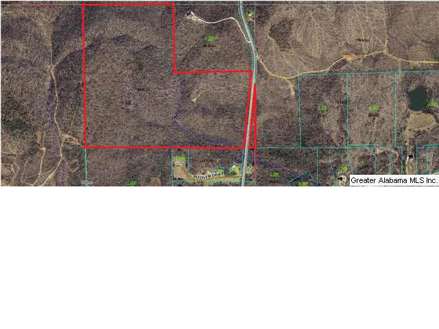 21 County Road, Unit 137 Ashville, AL 35953 - Photo 3 of 5