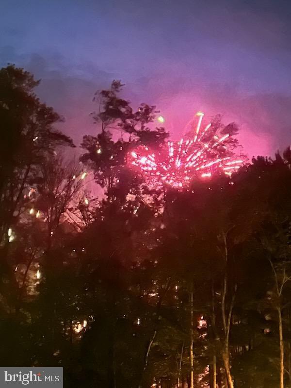112 Beechwood Cove Road Greentown, PA 18426 - Photo 48 of 59 Fireworks illuminate the night sky.