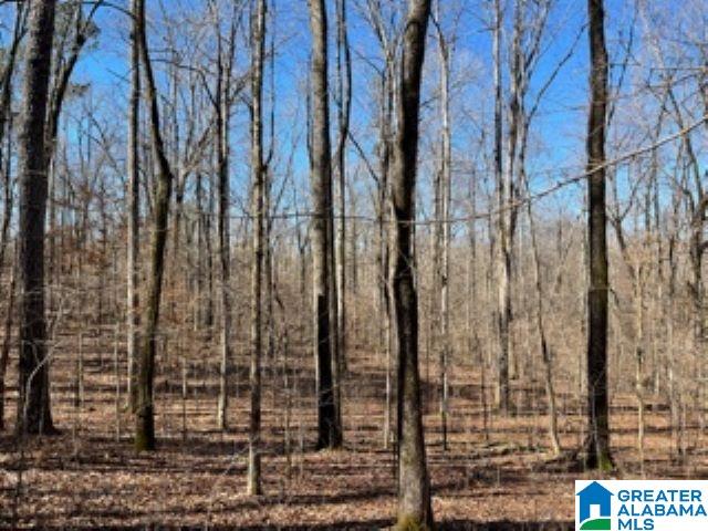 820 County Road, Unit 193 Roanoke, AL 36274 - Photo 9 of 15