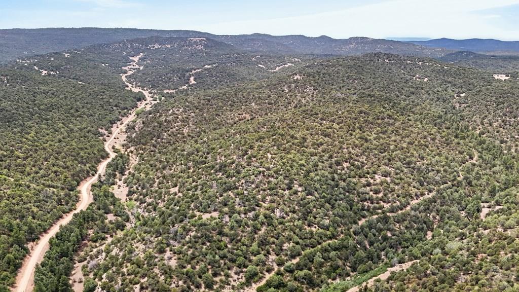 17001 Peacock Road Trinidad, CO 81082 - Photo 37 of 62
