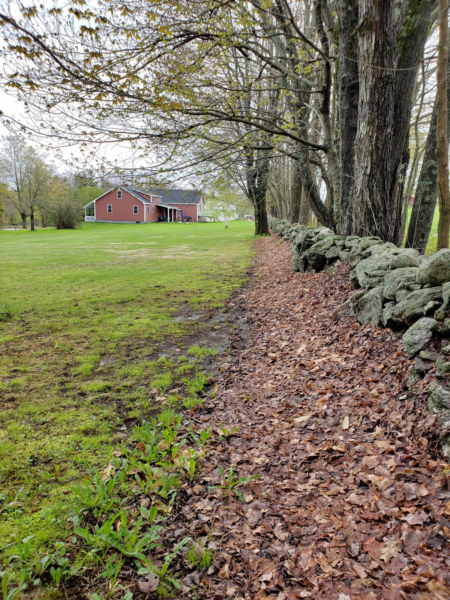462 Town Farm Road Hartford, ME 04220 - Photo 19 of 50 20190520_120622