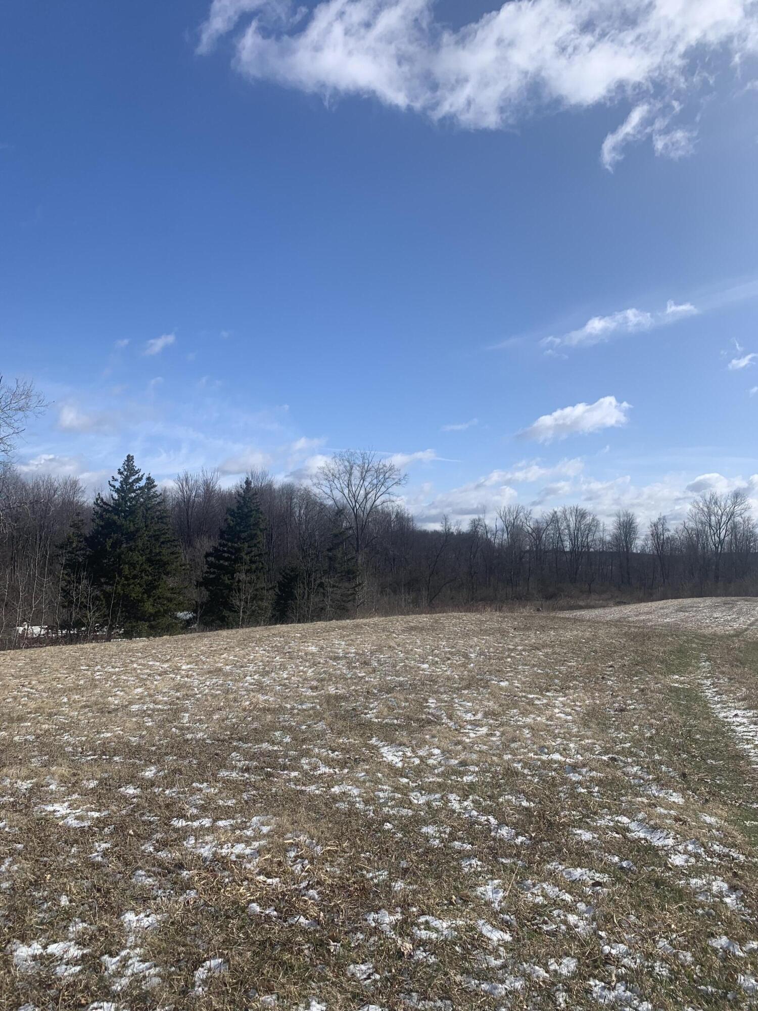 9350 Peach Ridge Avenue Northwest Sparta, MI 49345 - Photo 2 of 12 IMG_4569