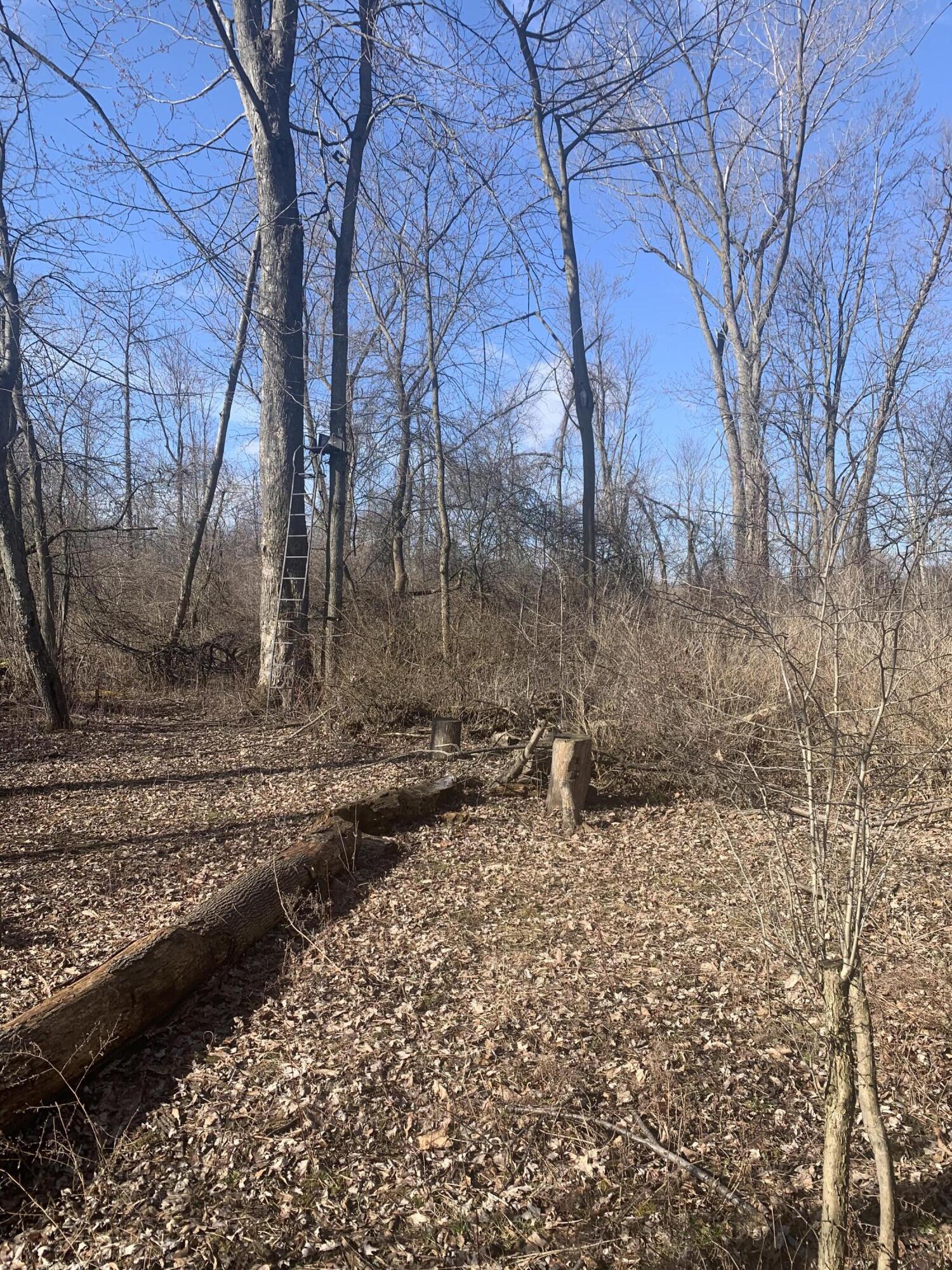 9350 Peach Ridge Avenue Northwest Sparta, MI 49345 - Photo 4 of 12 IMG_4575